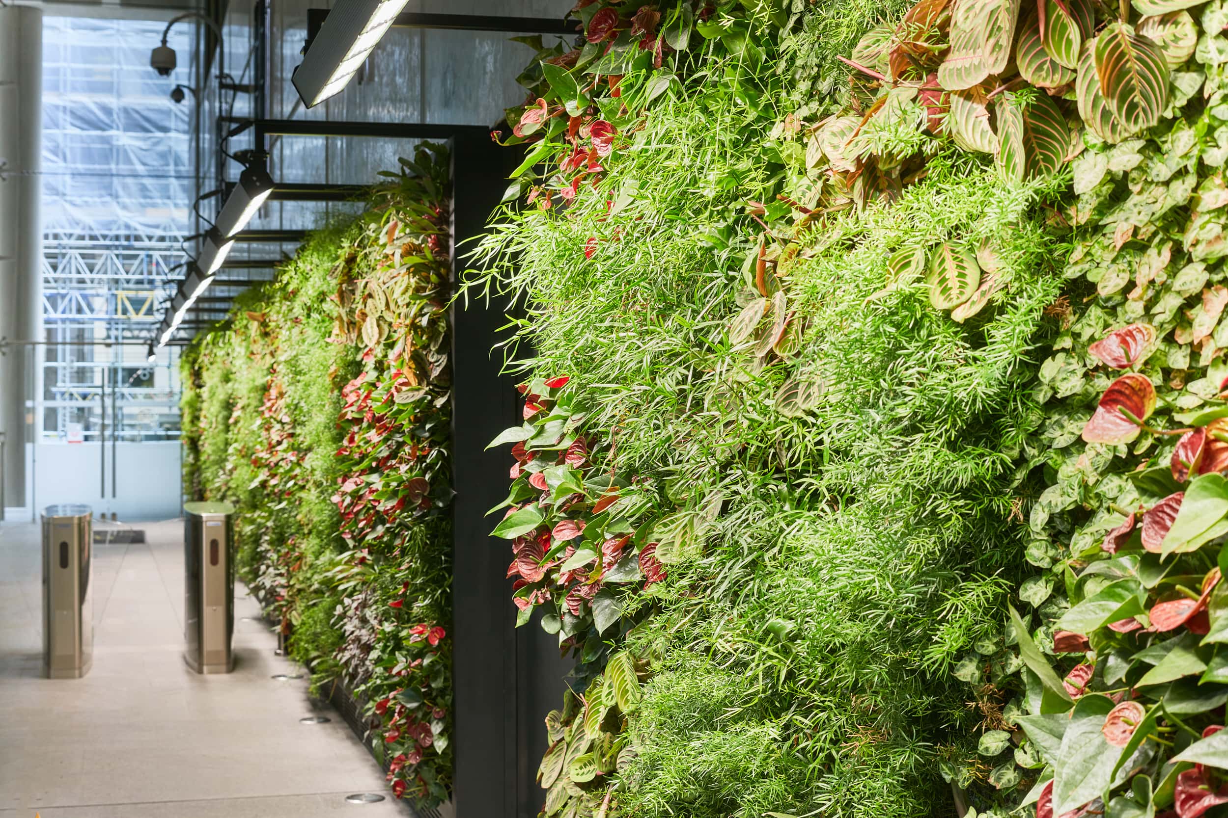 Vertical garden featuring a variety of lush green plants and colorful foliage along a corridor with modern lighting and access barriers.