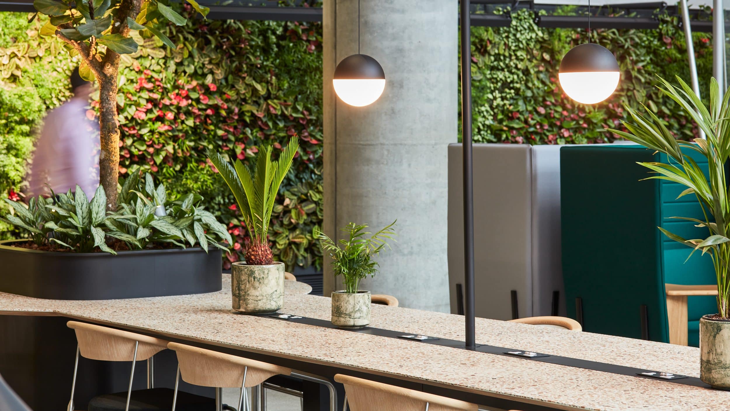 Sustainable office furniture a desk and chairs are shown inside an office with a green wall behind it. 