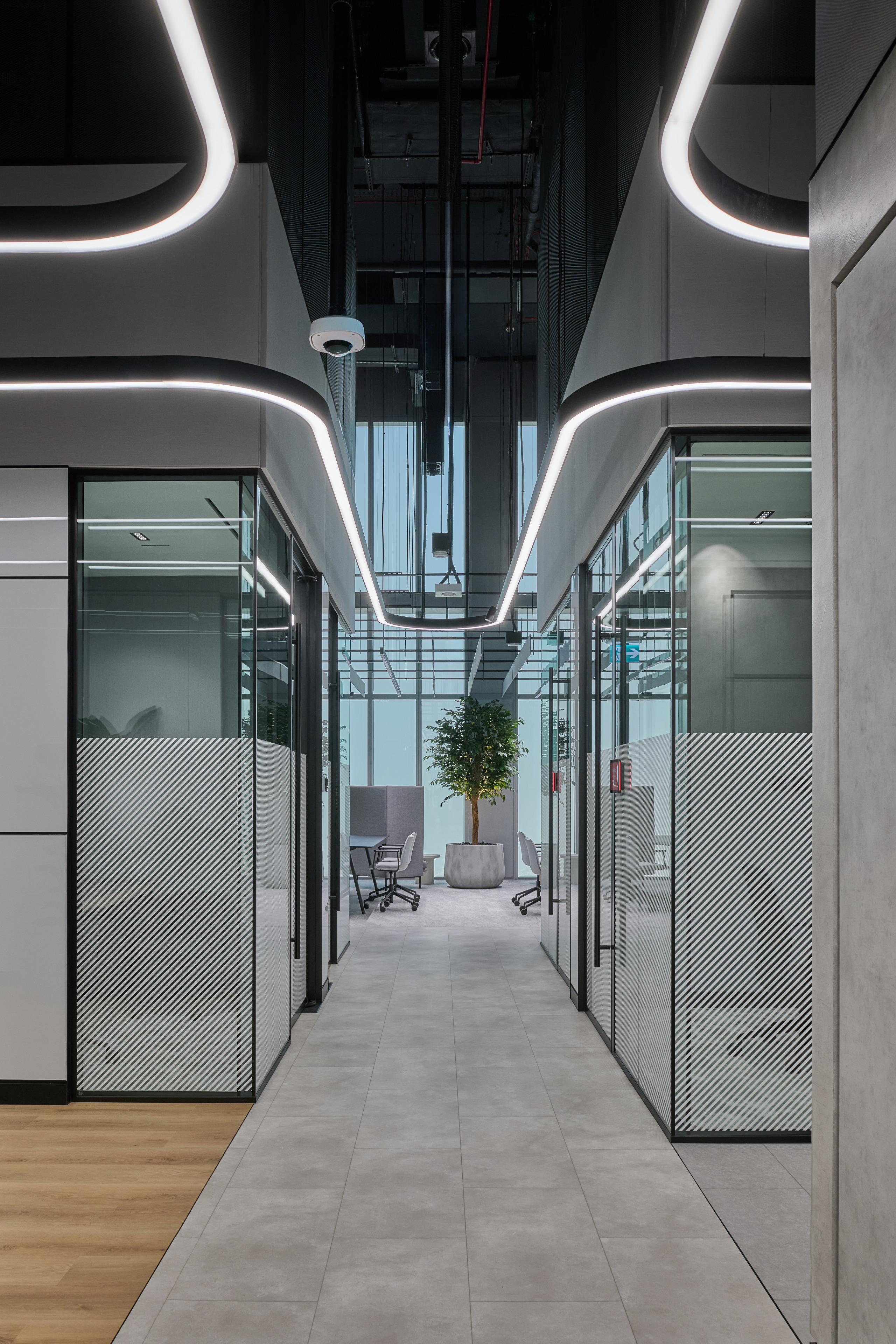 Modern office corridor featuring glass-walled meeting rooms, a potted plant, and sleek lighting design.